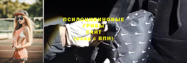 дмт Арсеньев