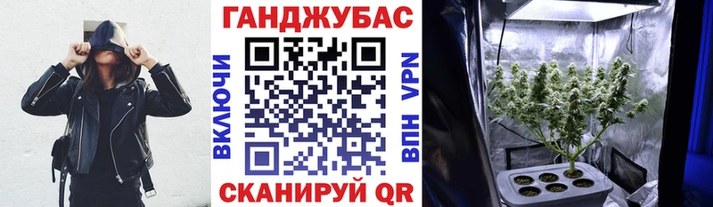 Бошки марихуана планчик купить mega онион Оленегорск